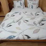 Kohari Vendeghaz Es Pince Bed & Breakfast 3*