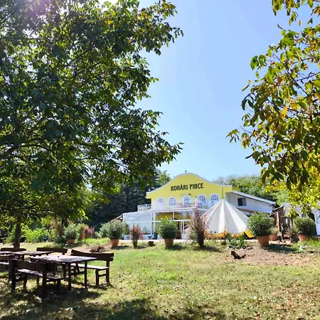 Kohari Vendeghaz Es Pince Nocleg ze śniadaniem Egerszalók