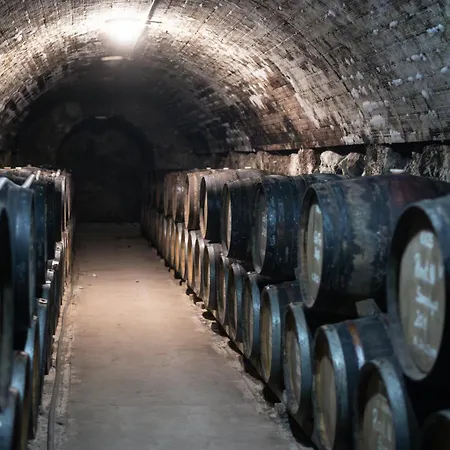 Nocleg ze śniadaniem Kohari Vendeghaz Es Pince 3*