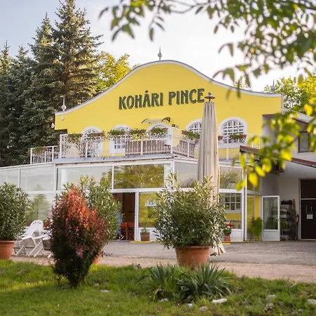 Kohari Vendeghaz Es Pince Egerszalók